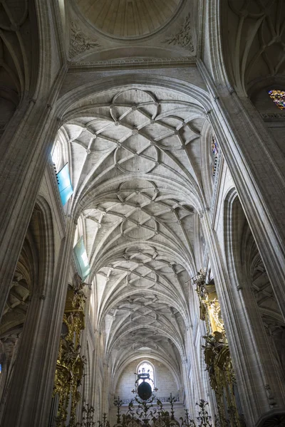 Bir Segovia Gotik katedral iç — Stok fotoğraf