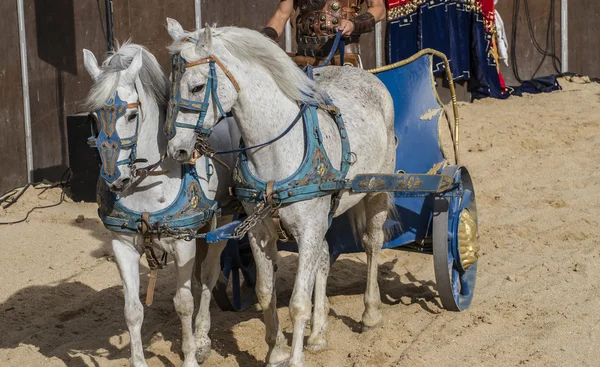 Römischer Streitwagen auf dem Kampf der Gladiatoren — Stockfoto