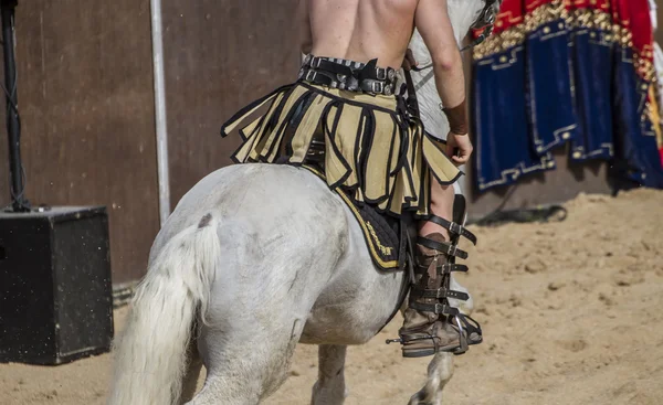 Horses and chariots of Roman gladiatorial fights, representation — Stock Photo, Image