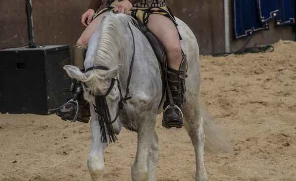 Gladiator riding horse — Stock Photo, Image