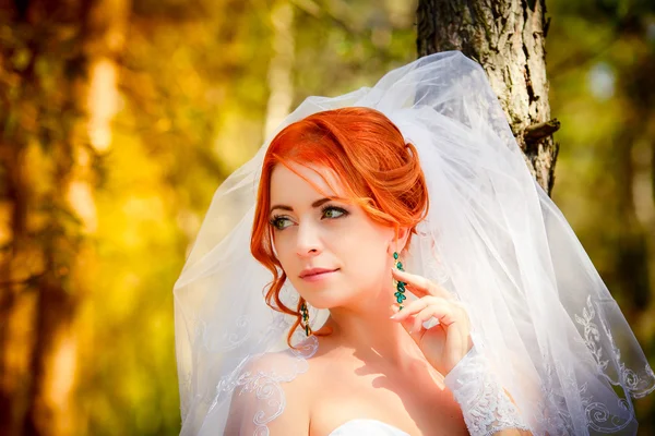 美丽的新娘户外-软焦点 — 图库照片
