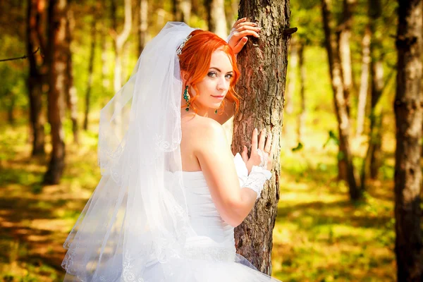 Gyönyörű menyasszony a szabadban - lágy fókusz — Stock Fotó