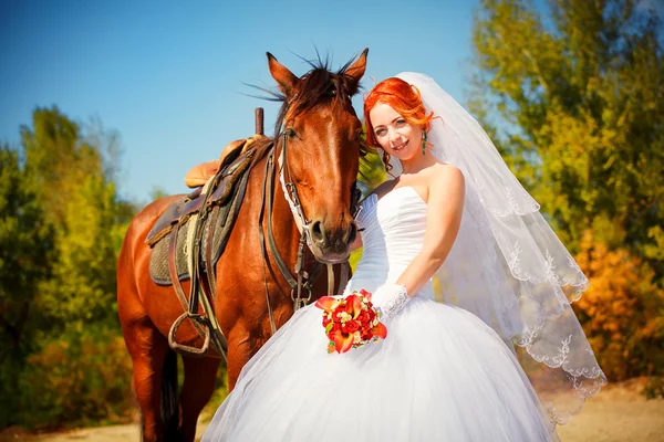 Porträtt av vackra brud med häst — Stockfoto