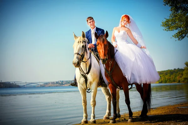 El beso del novio y la novia durante el paseo en el día de su boda Fotos De Stock Sin Royalties Gratis