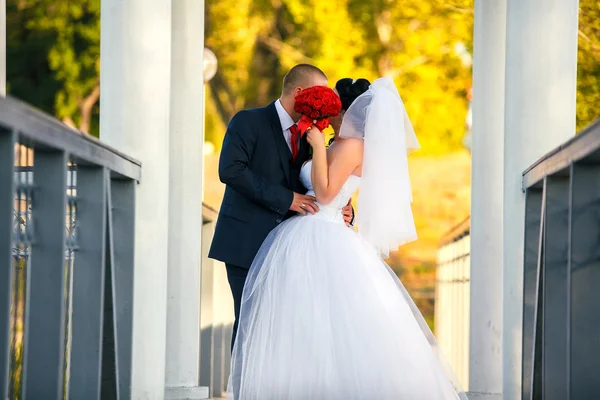 Braut und Bräutigam am Hochzeitstag beim Spaziergang in der Natur des Frühlings — Stockfoto