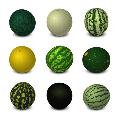 Karpuz farklı çeşitleri