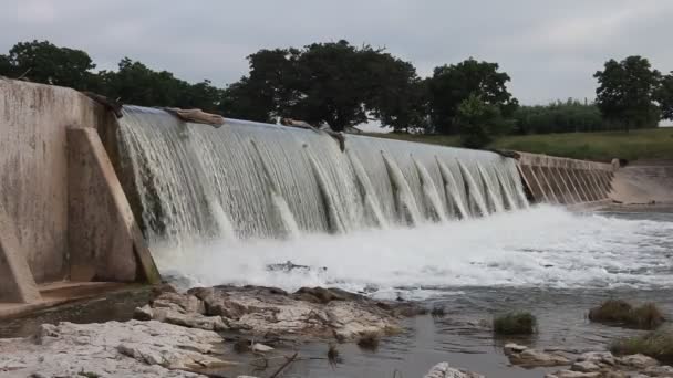 Pedernales flod i Stonewall Texas — Stockvideo