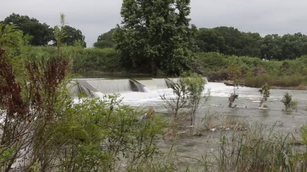 Pedernales ποταμός που ρέει πάνω από ένα φράγμα. — Αρχείο Βίντεο