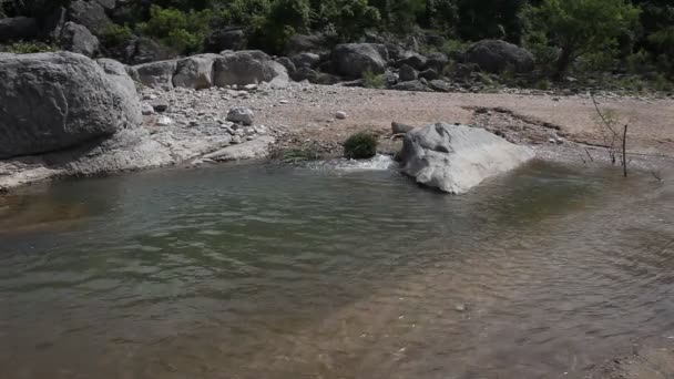 Río Pedernales en el Parque Estatal de las Cataratas de Pedernales . — Vídeo de stock