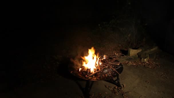 Vuur branden in een vuurplaats. — Stockvideo