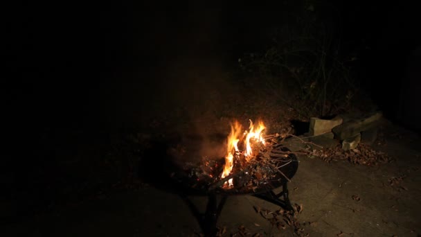 Vuur branden in het donker. — Stockvideo
