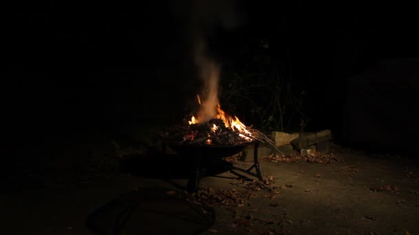 Fogo queimando no escuro . — Vídeo de Stock