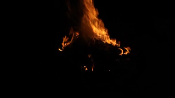 Feuer brennt im Dunkeln. — Stockvideo