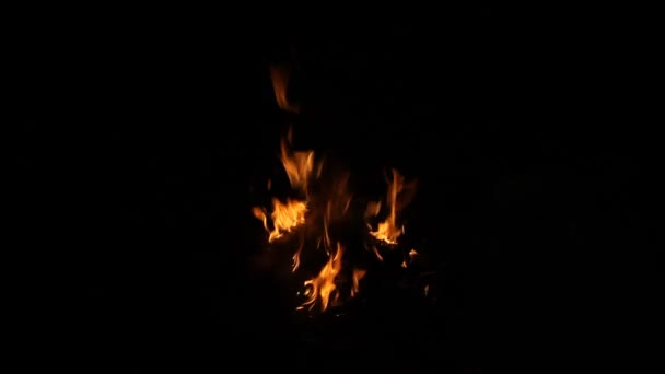 Vuur branden in het donker. — Stockvideo