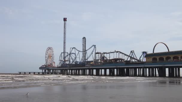 Pleasure Pier Galveston Texas. — Stockvideo