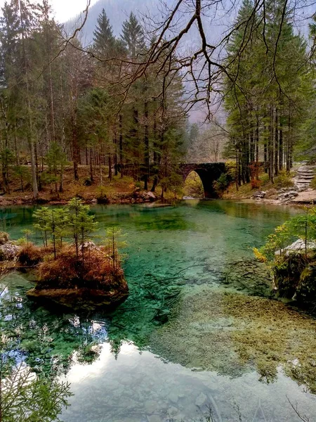 Taş köprüsü ve küçük çamları olan görkemli orman manzarası.