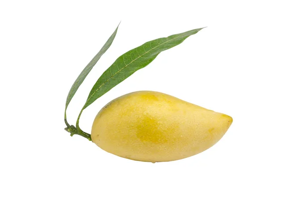 Желтый манго изолированы на белом фоне с обрезкой пути — стоковое фото