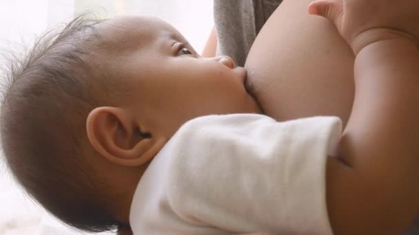 Fechar a mãe amamentando seu bebê recém-nascido ao lado da janela — Vídeo de Stock