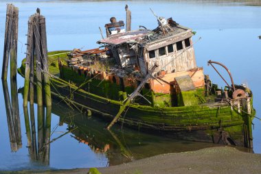 Mary D. Hume bağlandı ve batıyor. Bu fotoğraf 2015 'te yüzerken çekilmiş, o zamandan beri kısmen batmış. Oregon, Gold Beach 'teki Rouge Nehri' ne demirlemiş..