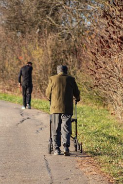 Güney Almanya 'da Rollatörlü son sınıf öğrencisi sonbahar doğa yürüyüşü yapıyor.