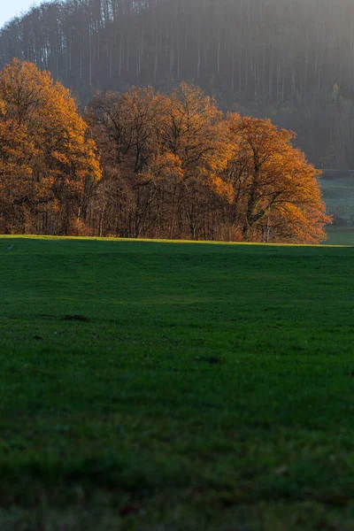 Autumn Fall Lawn Landscape South Germany City Schwabisch Gmund Orange — Stock Photo, Image