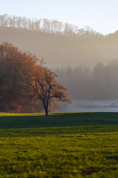 Podzim Trávník Krajina Blízkosti Jižního Německa Město Schwabisch Gmund Oranžovými — Stock fotografie