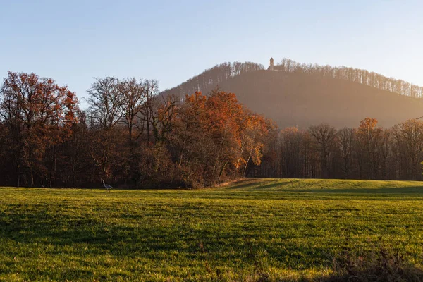 autumn fall lawn landscape near south germany city schwabisch gmund with orange leaves on branches