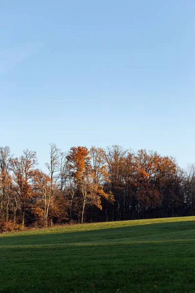 autumn fall lawn landscape near south germany city schwabisch gmund with orange leaves on branches