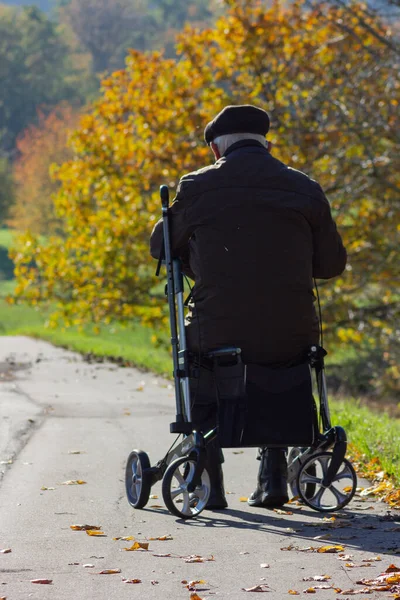 Idős Férfi Rollator Délnémet Ősz Táj Csinál Szabadtéri Séta — Stock Fotó