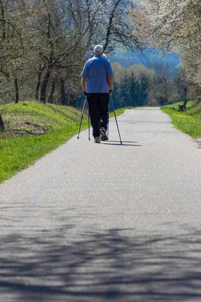 Pareja Ancianos Caminando Primavera Campo Del Sur Alemania Con Bastones —  Fotos de Stock