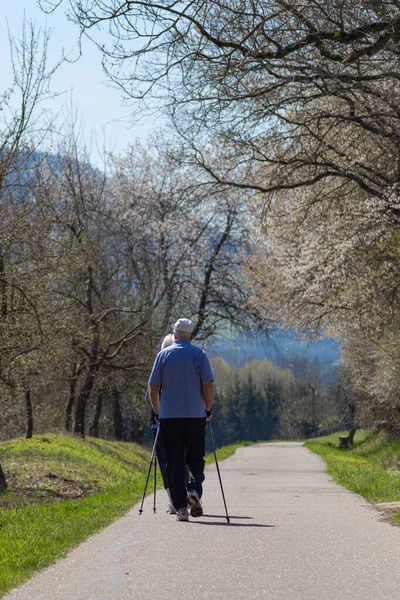 Senior Par Våren Sydtysk Landsbygd Med Nordiska Promenadkäppar — Stockfoto