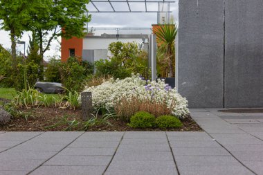 Almanya 'da baharda yeşil ve taş duvar cepheleri olan modern bahçe evleri.