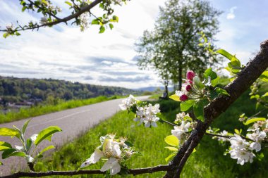 Güney Almanya kırsalında bahar bisikleti çiçek açtı.