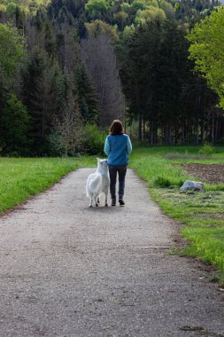 Alman ilkbaharı yeşil doğasında köpeğiyle gezen bir kadın.