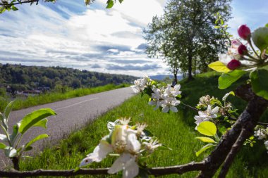 Güney Almanya kırsalında bahar bisikleti çiçek açtı.