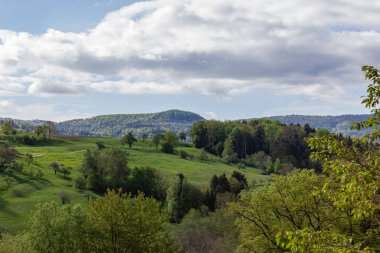 Almanya, Stuttgart yakınlarındaki Güney Almanya kırsalında ilkbahar mevsiminde yeşil bir yer.