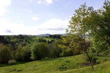 Almanya, Stuttgart yakınlarındaki Güney Almanya kırsalında ilkbahar mevsiminde yeşil bir yer.