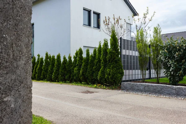 新鮮な植物緑と石の壁のファサードを持つドイツの春の家の近代的な庭園エリア — ストック写真