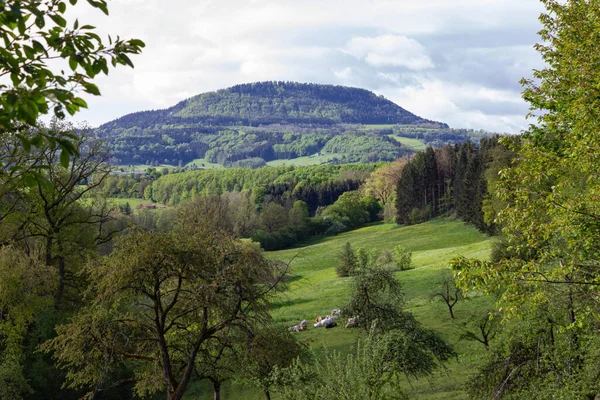 Tyskt Grönt Landskap Våren Södra Tyskland Landsbygd Nära Stuttgart — Stockfoto