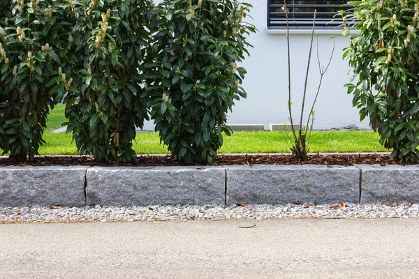 Moderne Gartenanlage Von Frühlingshaften Häusern Deutschland Mit Frischen Pflanzen Und — Stockfoto