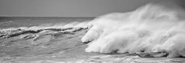 Surf wave — Stock Photo, Image