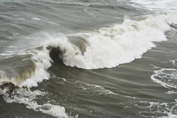 On the crest of a wave — Stock Photo, Image