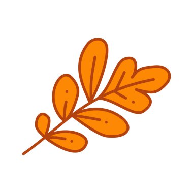 A stylized leaf branch composed of multiple small leaflets connected by a thin stem. Clean and natural botanical artwork suitable for eco-friendly designs, logos, decorative patterns, and organic