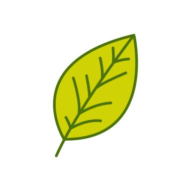 A single bright green leaf with a smooth surface and gentle curves, representing freshness and simplicity. Ideal for eco branding, nature visuals, botanical decorations, and clean vector design.