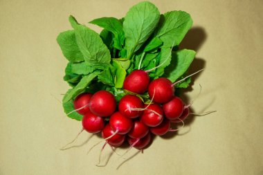 Kağıt arkaplanda turplar.