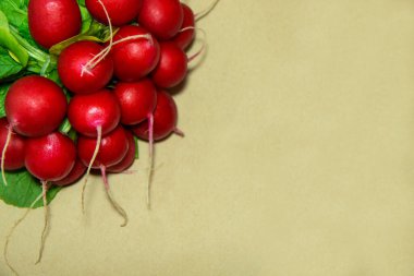 Turplar solda açık kahverengi kağıtta arka planda