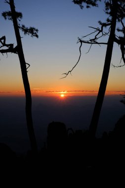 gündoğumu ağaçların arasında