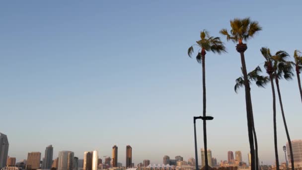 Metropolis skyline, hoogbouw wolkenkrabbers, San Diego Bay, Californië, USA. Stille Oceaan haven in zonsondergang licht, uitzicht vanaf Coronado eiland. Stadsgebouwen en silhouetten van palmbomen — Stockvideo