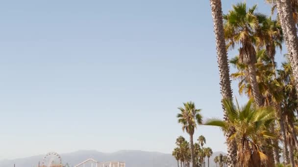 Калифорнийская пляжная эстетика, классическое колесо обозрения, парк аттракционов на пирсе в тихоокеанском океанском курорте Санта-Моника. Летний культовый вид, пальмы и небо, символ Лос-Анджелеса с копировальным пространством, штат Калифорния, США — стоковое видео