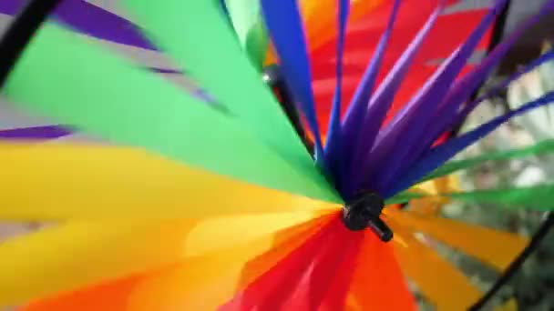 Bunte Windraddrehung, Wetterfahne, Gartendekoration in den USA. Regenbogen-Symbol für Kindheit, Fantasie und Fantasie rotieren. Buntes Spiralspielzeug, das sich in Windeseile dreht. Sommerträume — Stockvideo